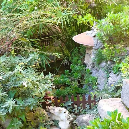 Full Or By Areas. Barbecue, Gardens, Large Terraces, Three Chalet *