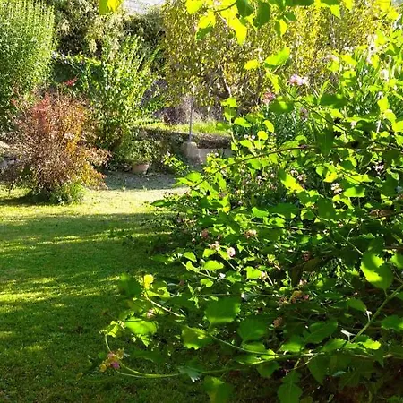 Full Or By Areas. Barbecue, Gardens, Large Terraces, Three *